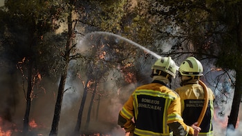 Los bosques de España están