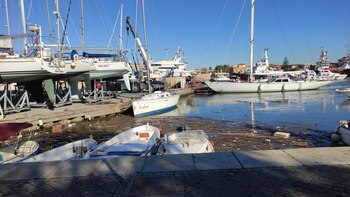 La UE acuerda prohibir que