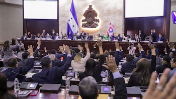 La Comisión de Familia coordinará acciones con varias instituciones del Estado. (FOTO:Congreso Nacional de Honduras)