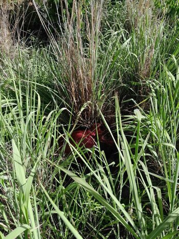 Las autoridades investigan si un presunto ataque de celos fue el móvil del crimen, aunque esa hipótesis aún no ha sido confirmada. (Foto: Cortesía)