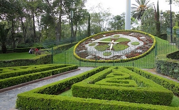 Reloj inclinado hecho con plantas y flores de colores, rodeado por arbustos podados, un camino de piedra y árboles