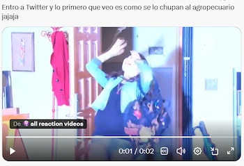 Memes y reacciones en redes sociales tras la difusión del video para adultos de El Agropecuario - crédito redes sociales / X