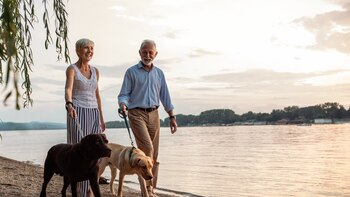 Añadir solo 3.000 pasos al