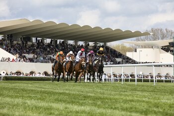 Los pasos para jugar Lototurf