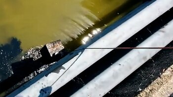 Una pareja encontró miles de dólares mientras pescaba en Nueva York