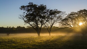 Al buscar soluciones duraderas a