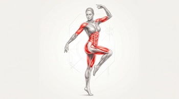 Ilustración en escala de grises de una persona en pose de baile con los músculos del abdomen, brazos y piernas resaltados en color rojo.