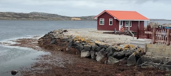 La población de las Malvinas
