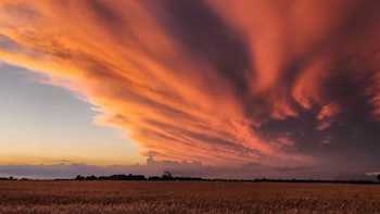 La confianza del sector agropecuario