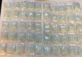 (Foto: Guardia Nacional)