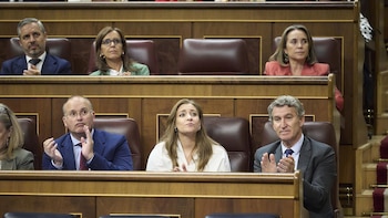 'Génova' apoya a Albiol tras