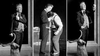 Mucho más allá del meme