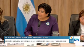 La diputada Natalia Sarapura presidiendo