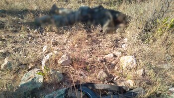 La autoridad reportó del suceso