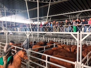 Algunos números indican que la