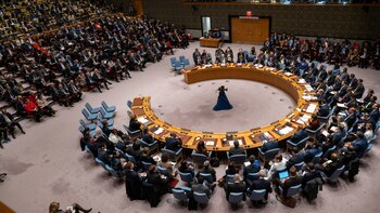 El Consejo de Seguridad, sin