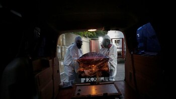 Sin tocar, sin besar y