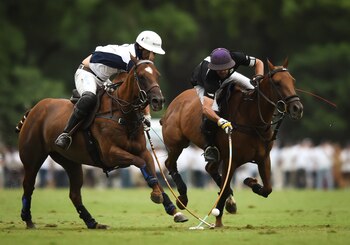 Desde que pisó el Campo