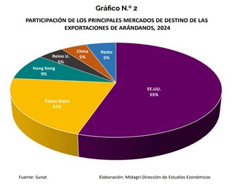 Arándanos. El apoyo gubernamental también