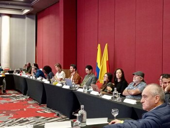 Plenaria del Comité Nacional de Participación II