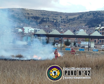 la Compañía de Bomberos Voluntarios Puno N.° 42 reportó también un incendio en totorales de la Av. Costanera, en paralelo a la Av. Floral, en la ciudad de Puno. Compañía de Bomberos