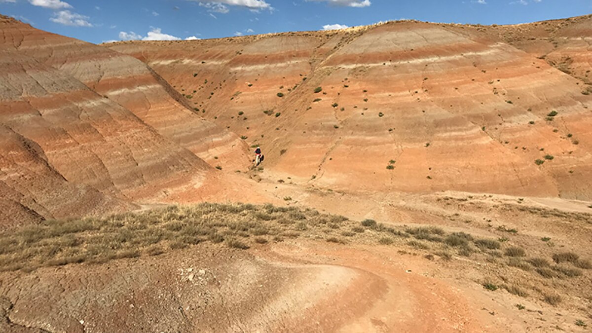 Descubren un continente perdido hace unos 40 millones de años que sirvió como puente entre Asia y Europa - Infobae