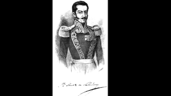 “Delgado, pálido, con ojos de