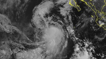 En 2024 México fue testigo