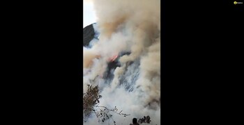 El incendio forestal comenzó la