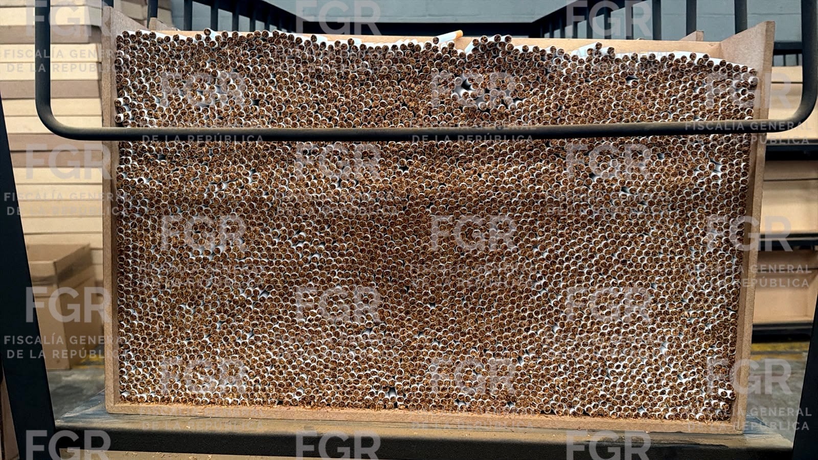 Desmantelan fábrica clandestina de cigarros en el Estado de México: deja afectaciones al mercado ilegal de hasta 330 mdp. FGR