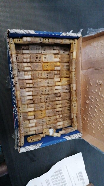 Dichos ejemplares estaban siendo trasladada