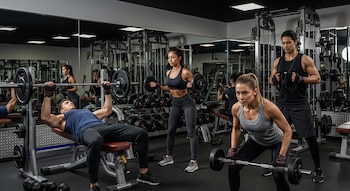 El consejo principal de fisioterapeutas