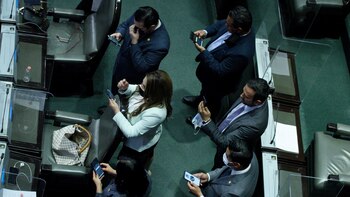Los diputados aprobaron que se