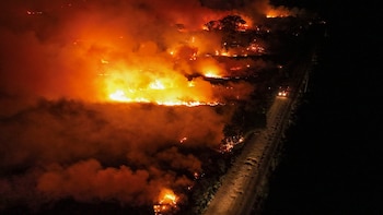 Los incendios en el Pantanal