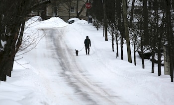 Una persona pasea a su