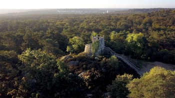Fontainebleau enfrenta una recuperación de hasta 30 años tras los incendios