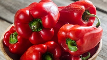 El pimiento rojo destaca como