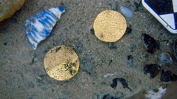 La expedición estadounidense identificó el