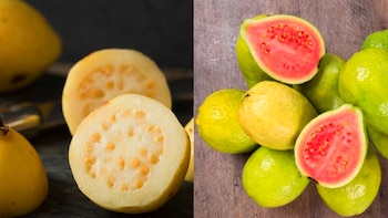 Guayabas - Diferencias entre la