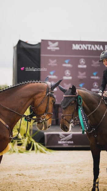 Dos caballos bayos con bridas se miran frente a un cartel de evento. Uno, montado por Cande Tinelli, lleva una cinta verde de ganador. El suelo es de arena