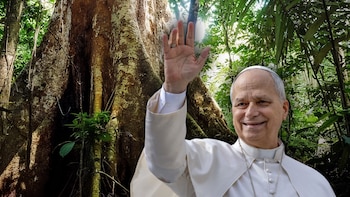 “Hay que ser como el shihuahuaco”: el significado detrás del árbol que sembrará el papa León XIV en Pucallpa