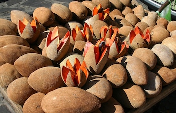 (Wikipedia/ Meutia Chaerani / Indradi