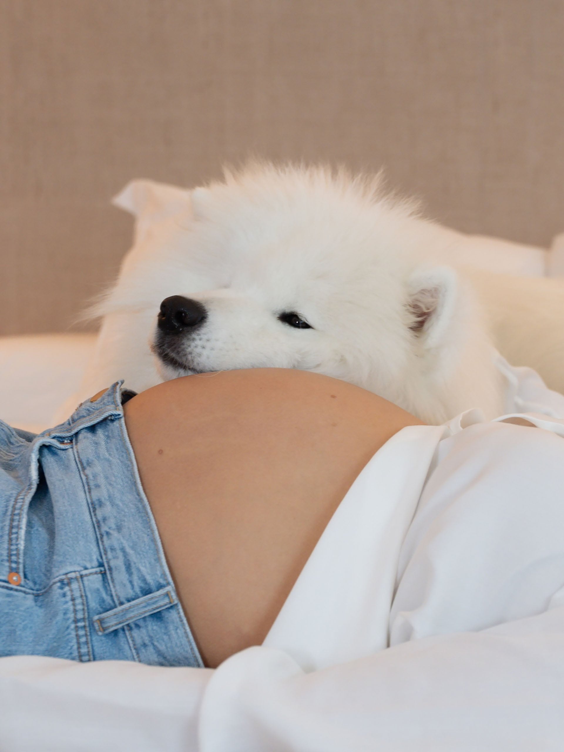 Tarzán, el perro de la familia (Instagram: @juliaanalvarez)