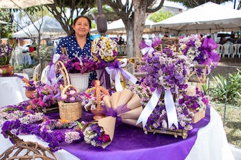 Una mujer vende arreglos de flores de la especie Limonium sinuatum, conocida popularmente como "siempreviva" o "inmortal" el 18 de marzo de 2026 en San Pedro Las Huertas (Guatemala). EFE/ Alex Cruz