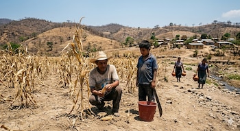 La probabilidad del fenómeno de El Niño supera el 90 %, lo que pone en riesgo la seguridad alimentaria y los cultivos en todo el país. (Visuales IA)