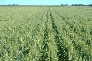 Comprender factores genéticos como el