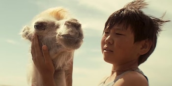 Dirigida por Yuriy Feting, esta