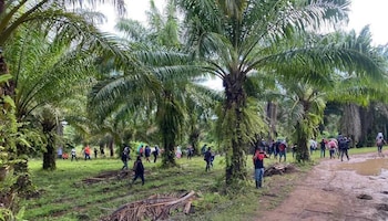 La comunidad de Rigores, en Trujillo, fue escenario de una de las peores masacres registradas en Honduras en 2026. (FOTO: Contracorriente)