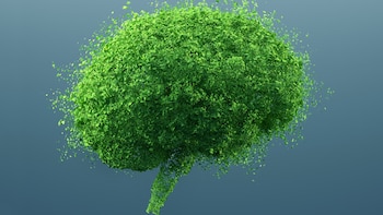 Daniel Tangona, reconocido instructor personal,