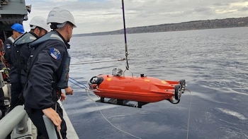 Vehículo submarino no tripulado (Armada)